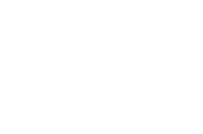 Arrellanos Roof Installation & Removal Services